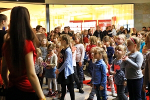 Zdjęcie: 2018-01-28-M.N.-   (64).JPG